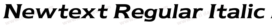 Newtext Regular Italic BT字体转换